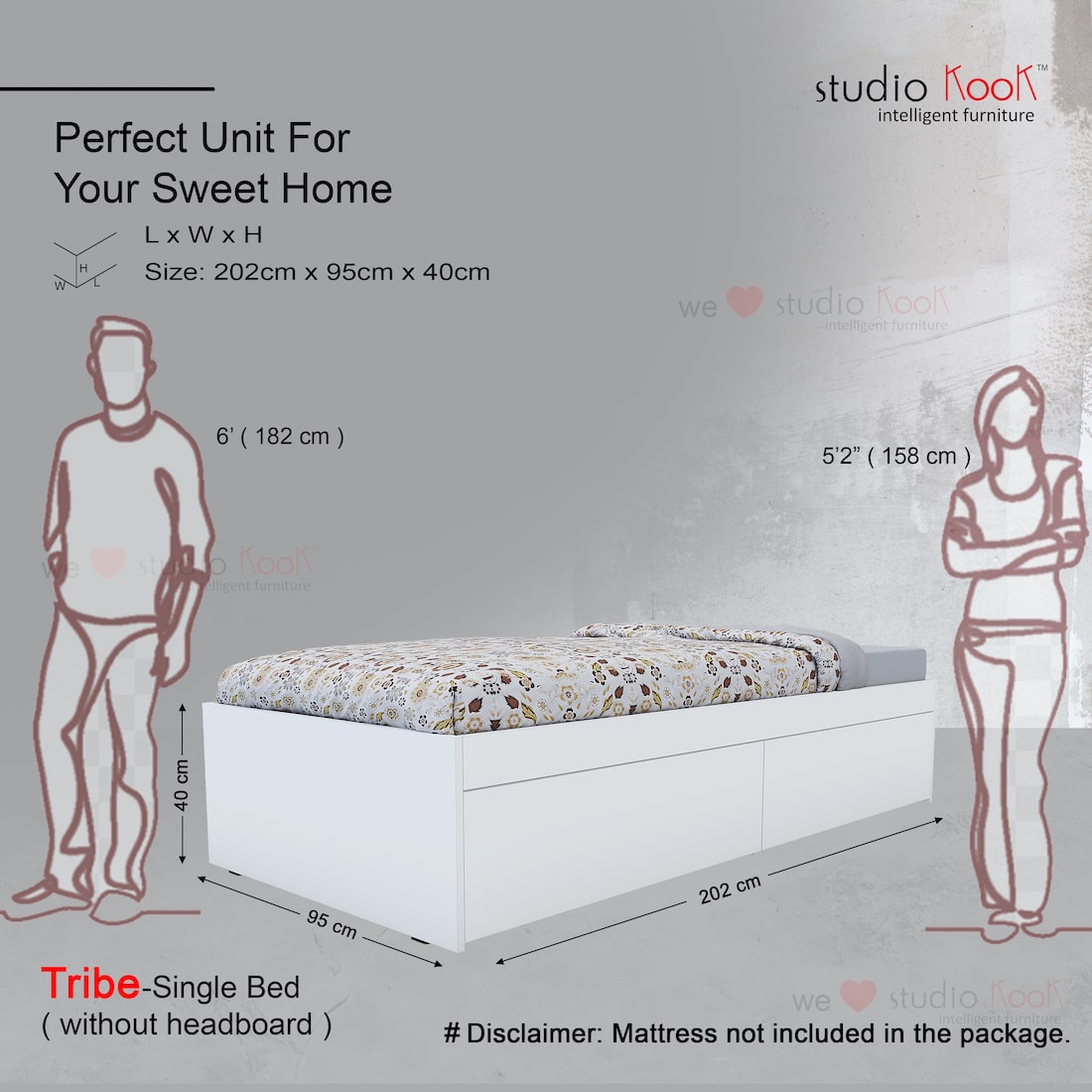 Tribe Single Bed (Without Headboard, Moonshine White, Matte Finish)